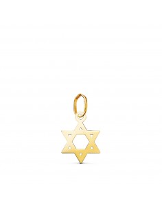18K COLGANTE ORO AMARILLO ESTRELLA DE DAVID BRILLO 12 X 9 MM