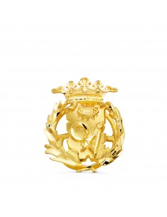 18K INSIGNIA ORO AMARILLO CIENCIAS EXACTAS ( MATEMATICAS )  17 X 14 MM