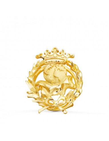 18K INSIGNIA ORO AMARILLO GEOGRAFIA 17 X 14 MM