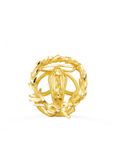 18K INSIGNIA ORO AMARILLO INGENIERO ELECTRONICO 16 X 14 MM