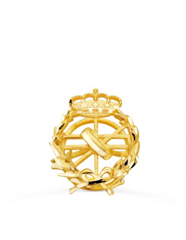 18K INSIGNIA ORO AMARILLO INFORMATICA 18 X 15 MM