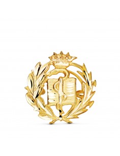 18K INSIGNIA ORO AMARILLO MEDICINA. 16 X 15 MM