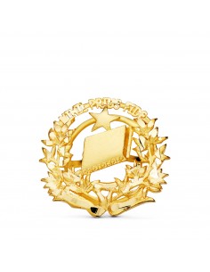 18K INSIGNIA ORO AMARILLO NOTARIO. 16 X 16 MM
