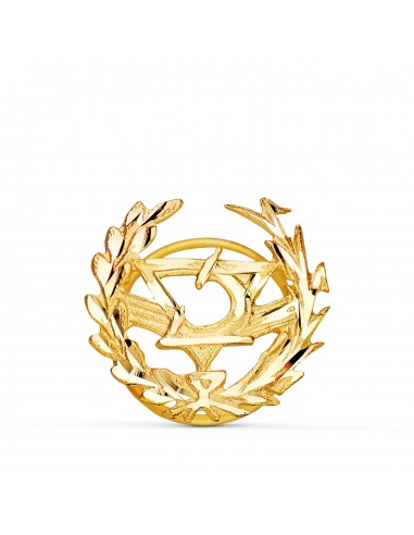 18K INSIGNIA ORO AMARILLO OPTICA. 16 X 15 MM