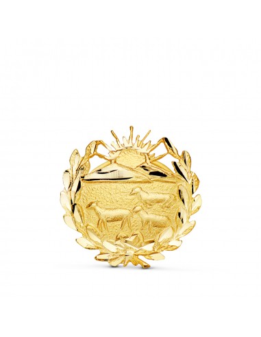 18K INSIGNIA ORO AMARILLO VETERINARIA. 15 X 15 MM