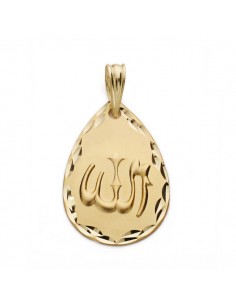 18K MEDALLA ALA ES GRANDE 21 X 14 MM