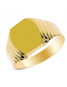 9K SELLO ORO AMARILLO CABALLERO HUECO. ZONA DE GRABADO 12X11 MM