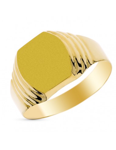 9K SELLO ORO AMARILLO CABALLERO HUECO. ZONA DE GRABADO 12X11 MM
