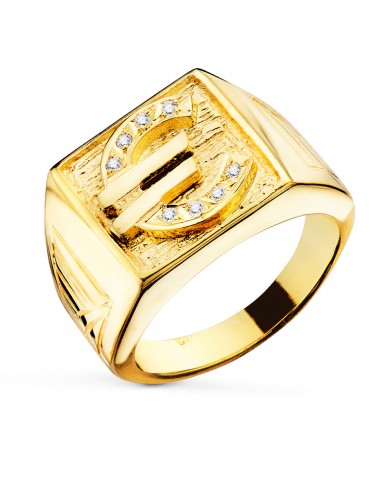 18K SELLO ORO AMARILLO CABALLERO EURO CON CIRCONITA 16X16 MM