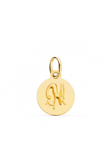 18K MEDALLA ORO AMARILLO HOROSCOPO ORO AMARILLO ORO AMARILLO CAPRICORNIO MATIZADA 13 MM