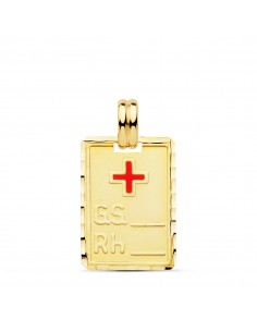 18K CHAPA GRUPO SANGUINEO + RH 20 X 14 MM