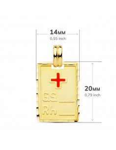 18K CHAPA GRUPO SANGUINEO + RH 20 X 14 MM 2