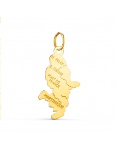 18K PENDENTIF OR JAUNE ILE MARTINIQUE  22 X 13 MM