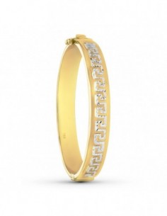Pulsera Rigida Bicolor