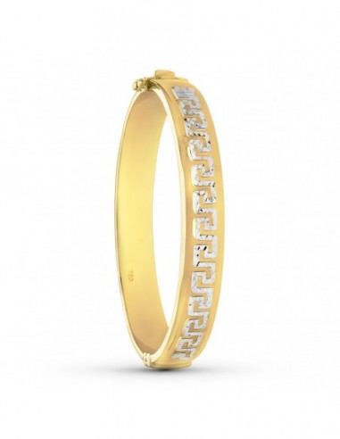 Pulsera Rigida Bicolor