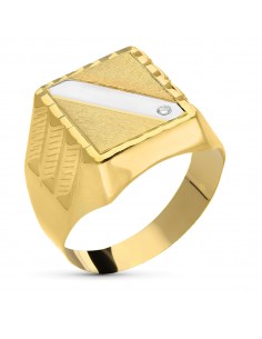 18K SELLO CABALLERO ORO BICOLOR CON CIRCONITA HUECO