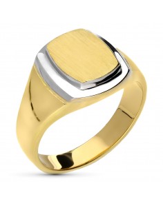 18K SELLO CABALLERO ORO BICOLOR RECTANGULAR