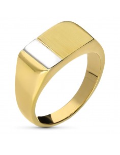 18K SELLO CABALLERO ORO BICOLOR RECTANGULAR