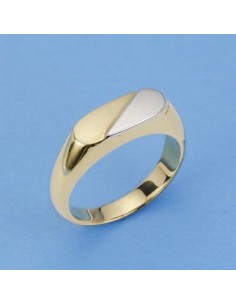 18K SELLO CABALLERO BICOLOR