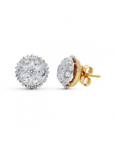 18K PENDIENTES PLATINO BICOLOR PIÑA Y CIRCONITA CIERRE PRESION