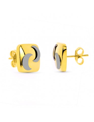 18K PENDIENTES CUADRADOS BICOLOR PRESION