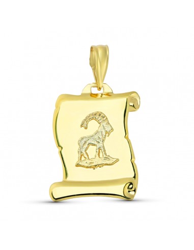 18K HOROSCOPO ORO AMARILLO CAPRICOR 20X14 MM