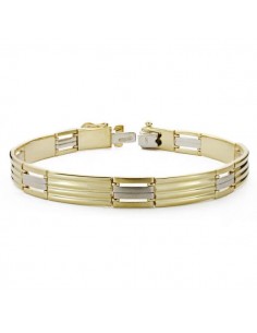 18K PULSERA CABALLERO BICOLOR 21.5 CM