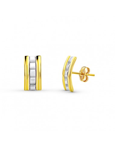 18K PENDIENTES ORO BICOLOR PRESION