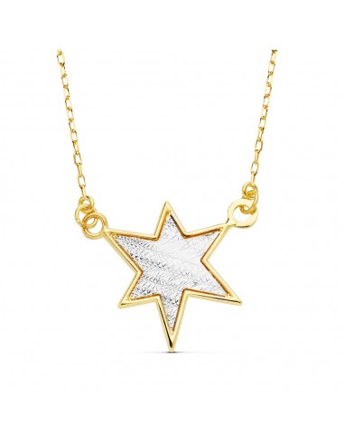 18K GARGANTILLA BICOLOR ESTRELLA 16 MM